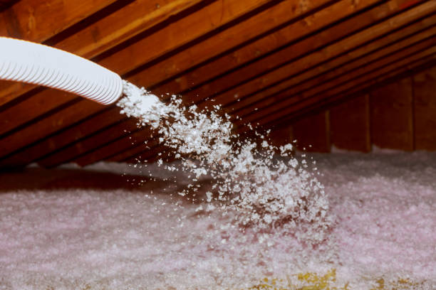 Best Commercial Insulation in Sanford, NC
