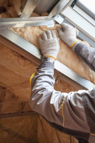Best Insulation Maintenance and Repair in Sanford, NC